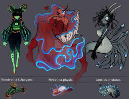 Sea Slug Saturday 2 Gijinka Moe Anthropomorphism Fantasy Character Design Mythical Creatures Art Creature Concept Art
