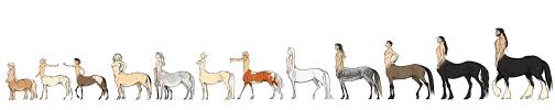 Not Only Lazy But Smart Too Centaur Anime Centaur Mythical Creatures
