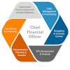 Chief financial officer (cfo) is usually responsible for for the administrative, financial, and risk management operations of the company. 1