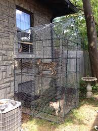 The reason why cats avoid it is that they don't like putting a chicken wire enclosure around your gardens may not be a pretty sight but it is a good way to ensure that your garden is undisturbed. Pin On Cats