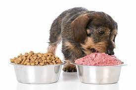 How Much Ground Beef Should I Feed My Dog Healthy Homemade Dog Treats