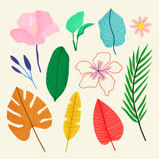 Check spelling or type a new query. Exotic Flowers Free Vector Graphics Everypixel