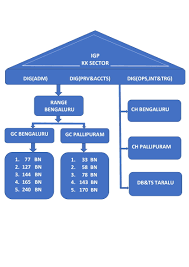 org structure