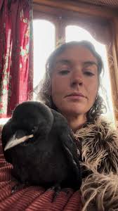 Fully Upgraded Jackdaw