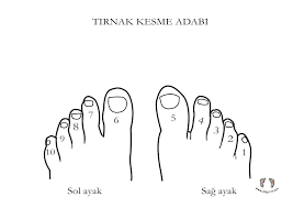 Didiyom Tv Cocuk Sarkilari Ve Egitim