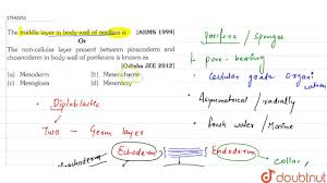 Formal tamil or செந்தமிழ் centamiḻ is generally used in formal writing and speech, while informal tamil or கொடுந்தமிழ் koṭuntamiḻ is used in everyday coversation, also in cinema, theatre and popular entertainment on television and radio, and many politicians use it to bring themselves closer. Validity Of Non Creamy Layer Certificate In Kerala