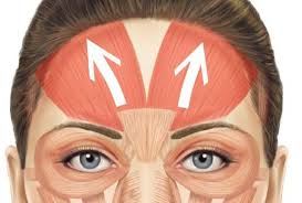 Check spelling or type a new query. How To Learn How To Raise One Eyebrow Quickly And Easily