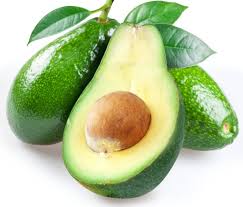 Image result for Persea americana