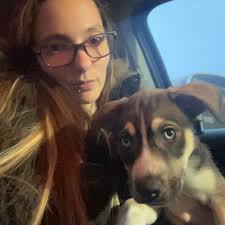 Who wants a free live tree for animals to eat?