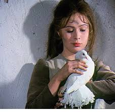 Об этом 9 июня на своей странице в фейсбук жена актера павла травничека. Tri Oreshka Dlya Zolushki 47 Let Spustya Kak Slozhilas Sudba Glavnyh Geroev Volshebnoj Skazki Dosug Kino Na Joinfo Com