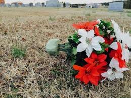Maybe you would like to learn more about one of these? Skip Fake Flowers This Memorial Day 5 Eco Friendly Options Huffpost