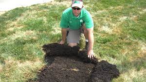 How to avoid lawn grubs? White Grub Control In Turf Grass Pad