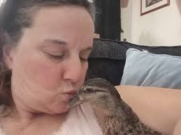 Does anyone up here have call ducks?