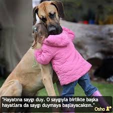 Hayatina Saygi Duy O Saygiyla Birlikte Baska Hayatlara Da Saygi Duymaya Baslayacaksin Osho Kompozisyon Epikse Ozlusozler Anlamlisozler Guzelsozler Osho