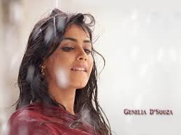 genelia d souza wallpaper 1024x768 indya101 com genelia d souza wallpaper 1024x768