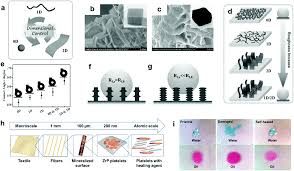 While fake credit card information and number seem like a scary situation, it's actually not something to worry about. Engineered Two Dimensional Nanomaterials An Emerging Paradigm For Water Purification And Monitoring Materials Horizons Rsc Publishing