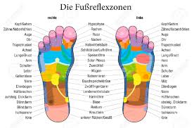 Foot Reflexology Chart With Accurate Description German Labeling