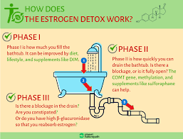 That would explain why some turn into women on periods during there experiences with clomid. How To Reduce High Estrogen Levels Planet Naturopath