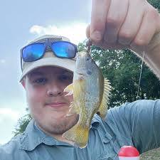 ᐅ Still Creek fishing reports🎣• Prattville, AL (United States) fishing