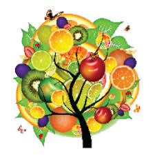 Jaboticaba is a small bushy tree that has many branches. Fruit Tree Nursery Montessori Ftdaynursery Twitter