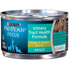 Purina Pro Plan Focus Urinary Tract Health Formula Turkey Giblets Entree Pate Wet Cat Food 3 Oz Case Of 24 Canned Cat Food Cat Food Best Cat Food