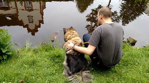 Hotels near franzosischer garten, celle on tripadvisor: Nutria Franzosischer Garten Celle Youtube