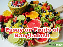 More than 60 varieties of fruits are being grown in the country,jackfruit is the national fruit of bangladesh. Fruits Of Bangladesh Essay Composition For Students Wikilogy
