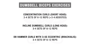 the ultimate dumbbell bicep workout you need for massive arms