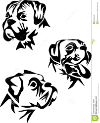 Boxer Dog Face Coloring Page Google Search Boxer Dogs Art Boxer Breed Boxer Dog Tattoo