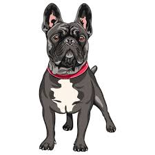 Download 8 844 Best French Bulldog Cartoon Images Stock Photos Vectors Adobe Stock