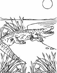 Jungle animals coloring page for kids. Simple Crocodile Color Page