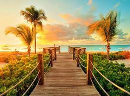 500 piece beach themed puzzles · beach buddies by white mountain puzzles ~ 550 pieces · green turtle hatchlings ~ 550 pieces · hang loose by ravensburger ~ 500 . Beach Jigsaw Puzzles Jigsaw Puzzles For Adults