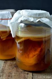 How To Grow A Scoby In 2020 Kombucha Scoby Kombucha Recipe Organic Kombucha