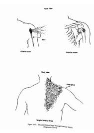 28 Best Hands Of Light Book Images Hands Of Light Healing