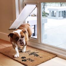 A wide variety of sliding. 25 Stylish Dog Door Ideas For The Discerning Pet Owner Hey Djangles