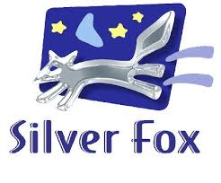 Collingwood o'hare productions/cbbc/nicktoons network original (2006). Silver Fox Films Logos