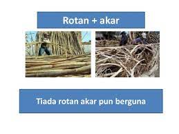 Tiada rotan akar pun berguna red alert 3 amaran merah 3 allied bersekutu. Latihan Peribahasa Bergambar Pt3