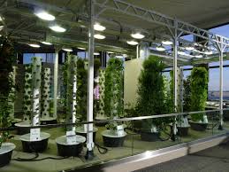 Then look no further, because i've got a treat for you. The Science Of Grow Lamps Powerhouse Growers