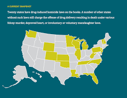 An Overdose Death Is Not Murder Why Drug Induced Homicide