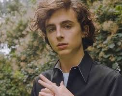 Timothée chalamet (timothée hal chalamet) (born december 27, 1995) is an american actor. Timothee Chalamet Height Age Girlfriend Family Biography More