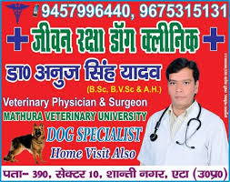 Maybe you would like to learn more about one of these? Jeevan Raksha Pet Clinic Etah Home Facebook
