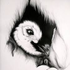 Baby Penguin Sketch Penguin Sketch Animal Drawings Charcoal Sketch