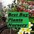 Plant Nursery Near My Location