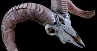Sheep Skull 2 Sheep Skull Skull Carving Funky Art