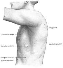 Right above my shoulder blade teading to the back of my neck. Winged Scapula Wikipedia