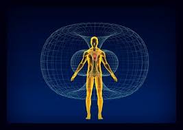 It is the most complete reference of human explore over 6700 anatomic structures and more than 670 000 translated medical labels. Biofields And Consciousness Systems Human Frequencies