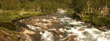 See more ideas about river phoenix, river, my own private discover & share this river phoenix gif with everyone you know. Beauty River Gif By Jerology Find Share On Giphy