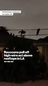 Dave Portnoy tells Brianna Chickenfry he called out Grace O'Malley for 'dog  s—t' post.