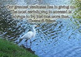 Maybe you would like to learn more about one of these? Inspiring Rainy Day Quotes By Quoteshunter On Deviantart