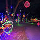 Holiday Zoo Lights! event image